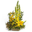 Florist in Chennai florist in chennai home delivery flowers delivery in chennai online