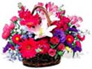 Florist in Chennai florist in chennai home delivery flowers delivery in chennai online