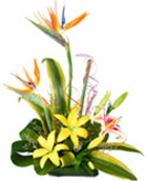 Florist in Chennai florist in chennai home delivery flowers delivery in chennai online