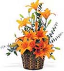 Florist in Chennai florist in chennai home delivery flowers delivery in chennai online