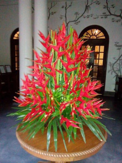 Florist in Chennai florist in chennai home delivery flowers delivery in chennai online